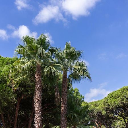 Aparthotel Las Palmeras كاستيلديفيلس المظهر الخارجي الصورة